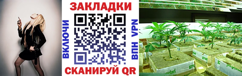 Продажа наркотиков Старица Кокаин  А ПВП  Бошки Шишки 