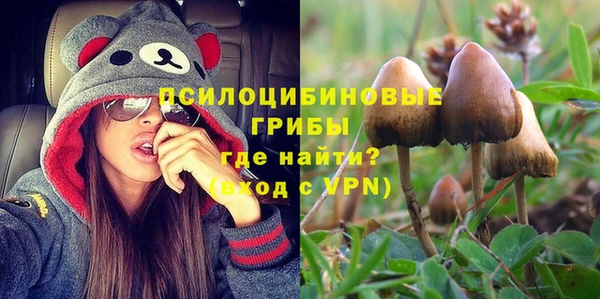 дурь Рославль