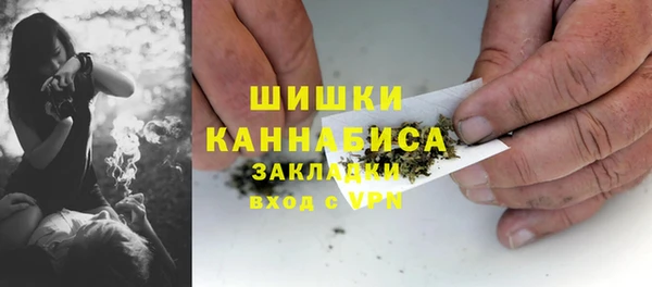 шишки Елизово