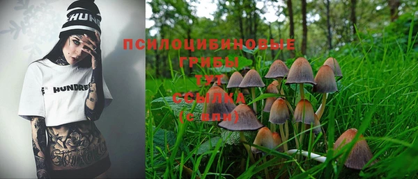 герыч Дмитриев