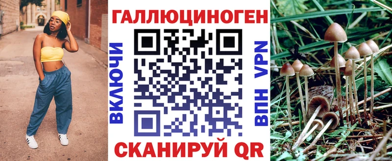 Псилоцибиновые грибы мицелий Старица